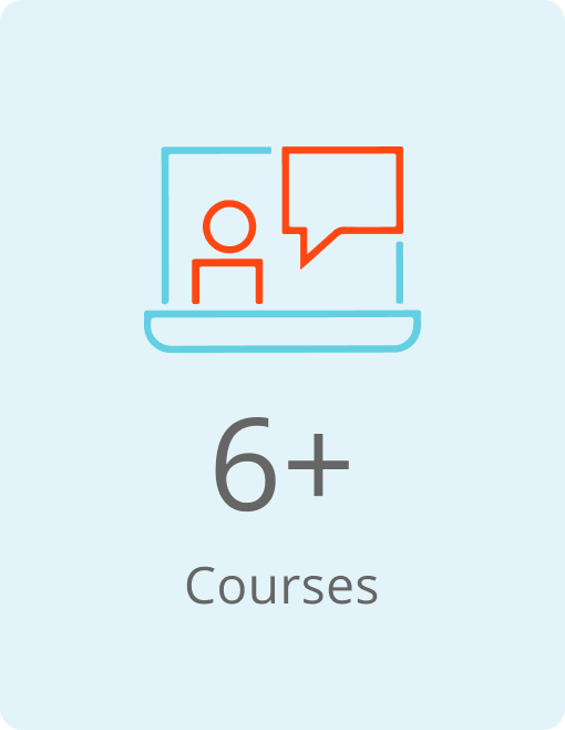 6 Courses